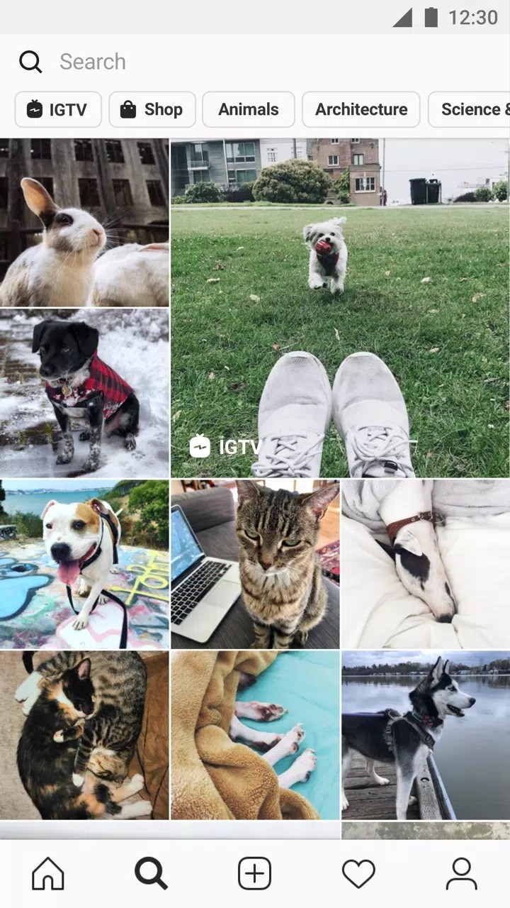 instagram拍照