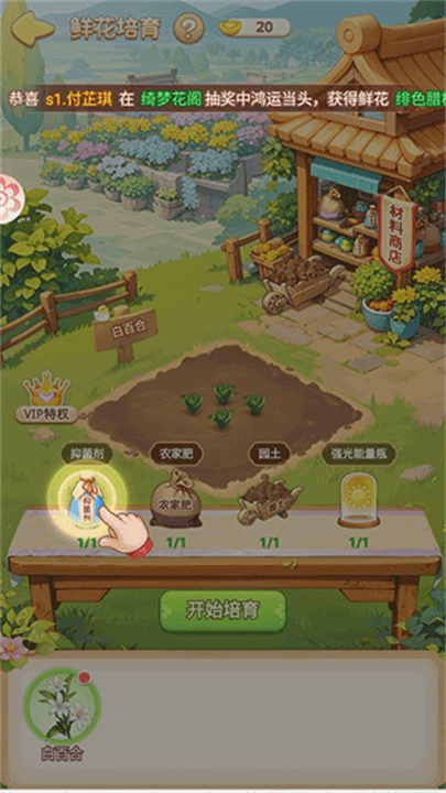 我的花园世界