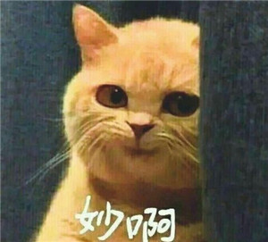 非二次元的剧情盛宴,《灵魂宝戒》评测报告