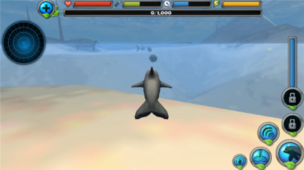 海豚模拟器