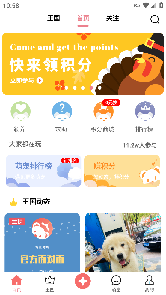 宠物王国软件