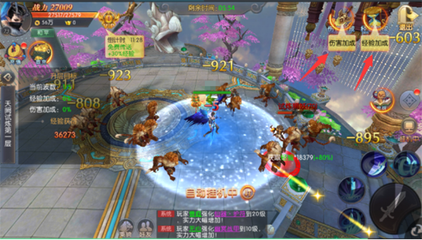 20635635 (1).png