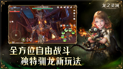 龙骑士降临!网易3D魔幻冒险手游《龙之灵域》“龙灵觉醒”首测重磅开启!