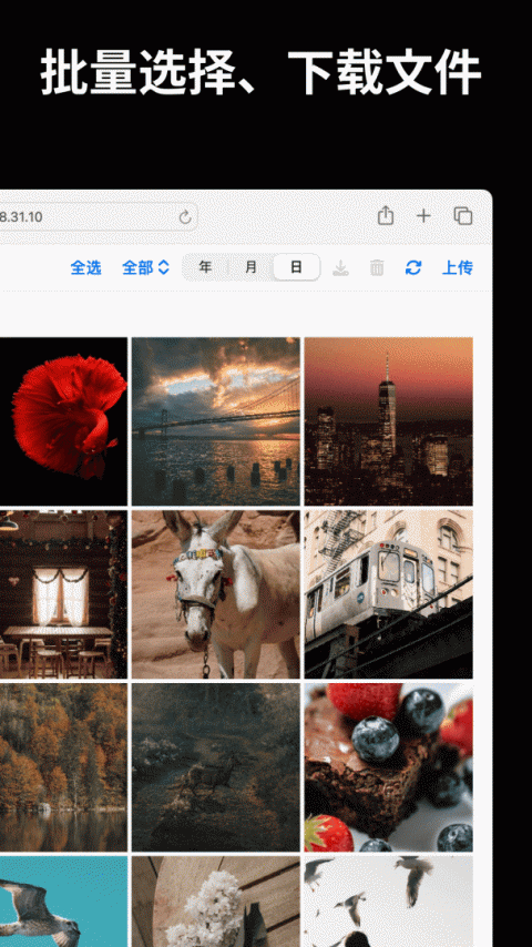 文件闪传app