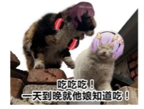 想要在睡觉前过关幻书主线？玩家：也就再来亿把！