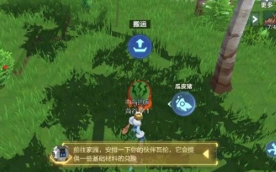 我的起源