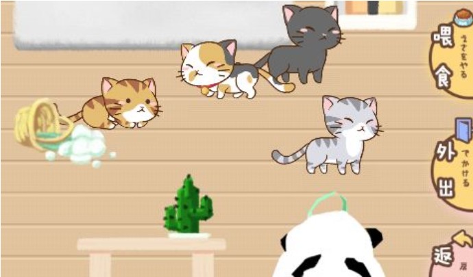 猫宅97