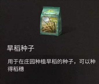 明日之后