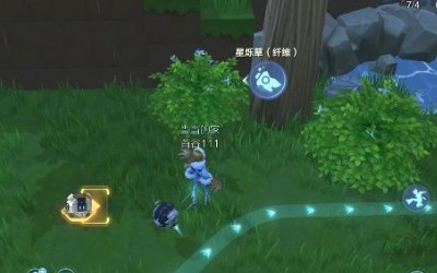 我的起源