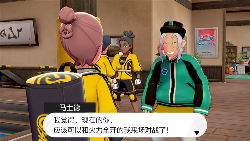 精灵宝可梦剑盾
