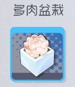 双生视界