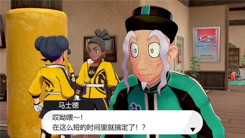 精灵宝可梦剑盾