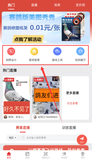 搜鸽天下APP