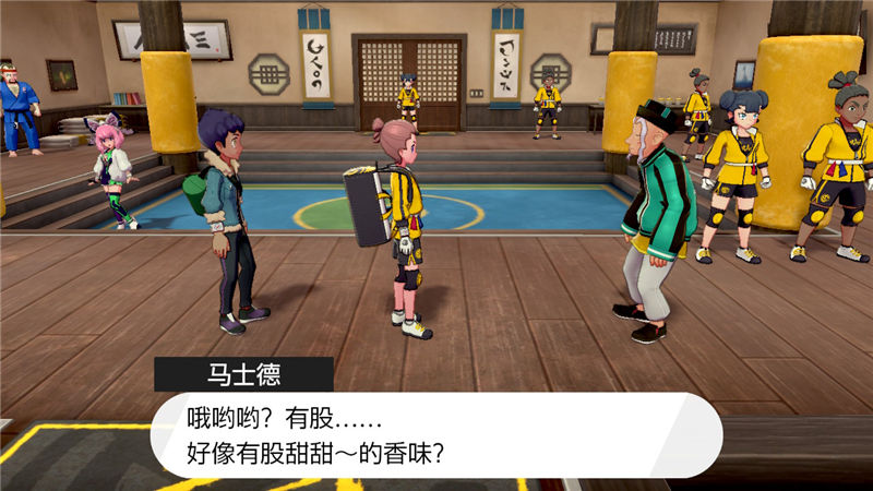 精灵宝可梦剑盾