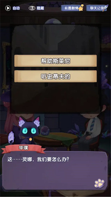 捕梦猫2024