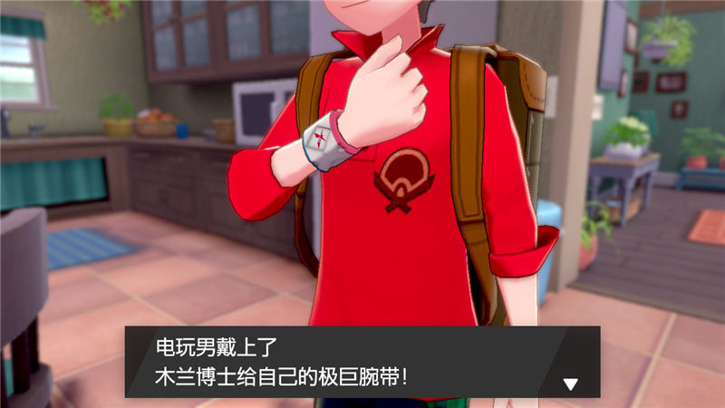 精灵宝可梦剑盾