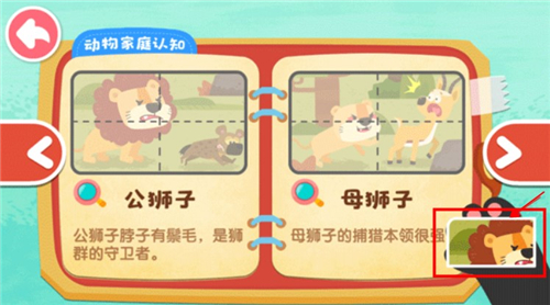 奇妙的动物家庭