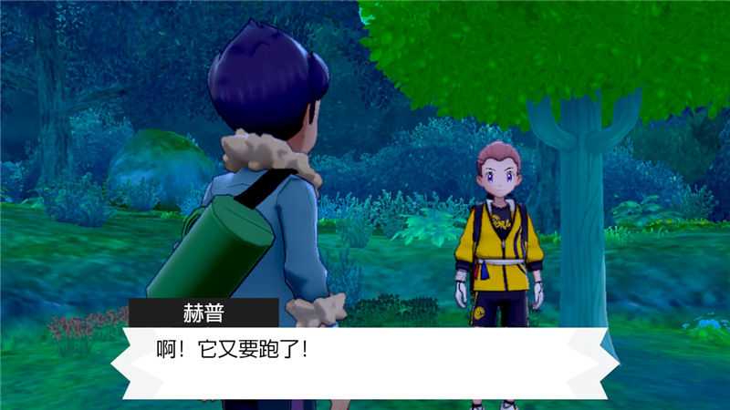 精灵宝可梦剑盾