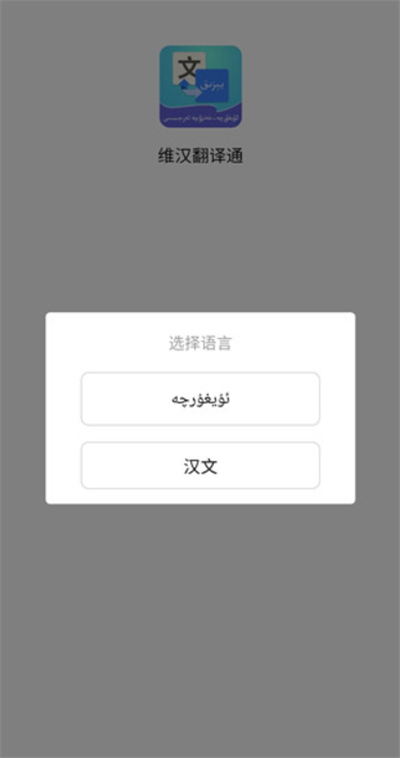 维汉翻译通
