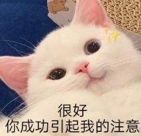 爆款预定！审美在线不说还有高自由的个性玩法，她们好懂啊！