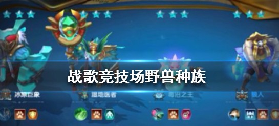 战歌竞技场