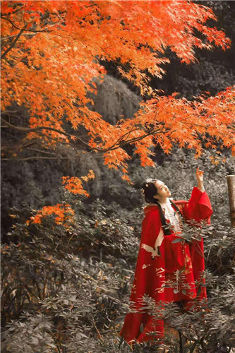 做过女团，获奖无数，这些宝藏主播竟然都在网易CC直播……