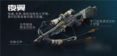 黎明觉醒