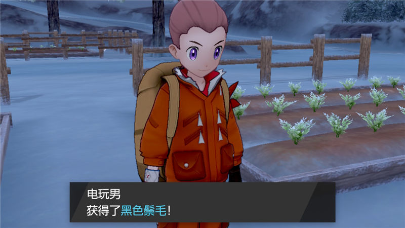 精灵宝可梦剑盾