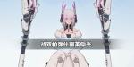 战双帕弥什丽芙仰光介绍