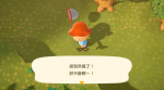 动物之森铃钱怎么获得
