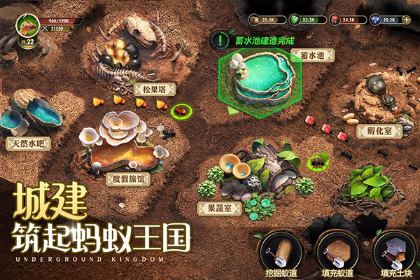 小小蚁国37版截图