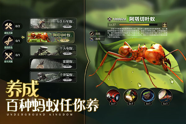 小小蚁国37版截图