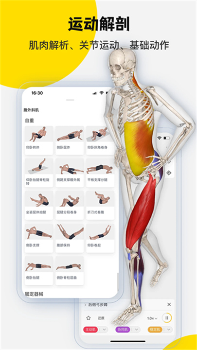 3dbody解剖最新版截图