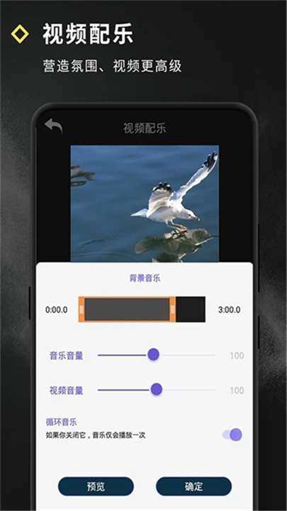 短视频特效软件截图