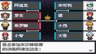 口袋妖怪超透黑2截图