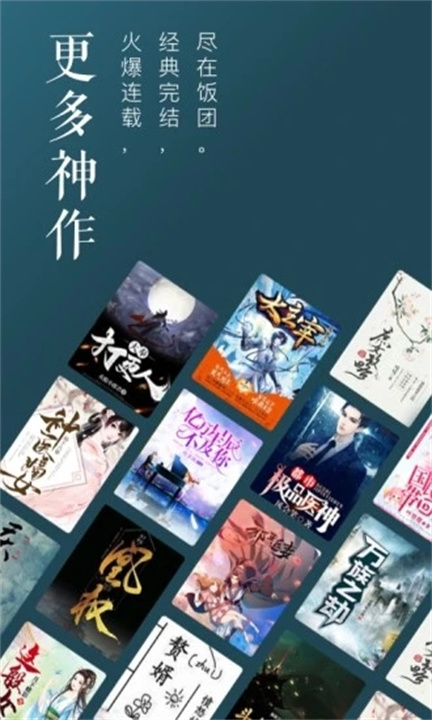 饭团追书安卓版截图