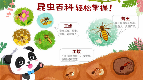 奇妙昆虫世界手游截图