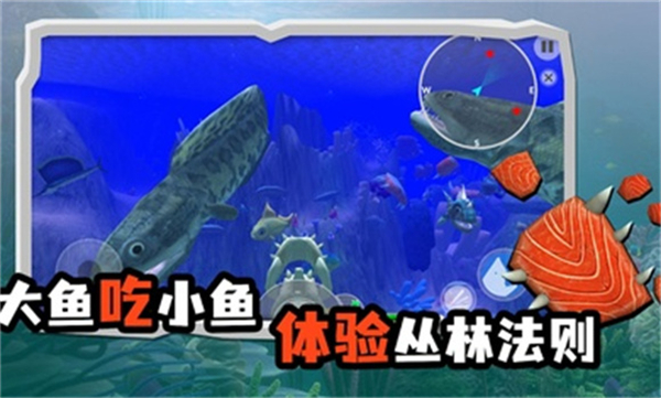 海底大猎杀单机版截图