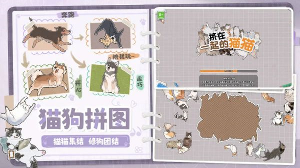 挤在一起的猫猫手游截图