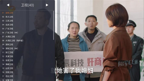 WebView电视版截图