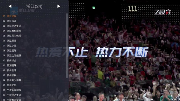 WebView电视版截图