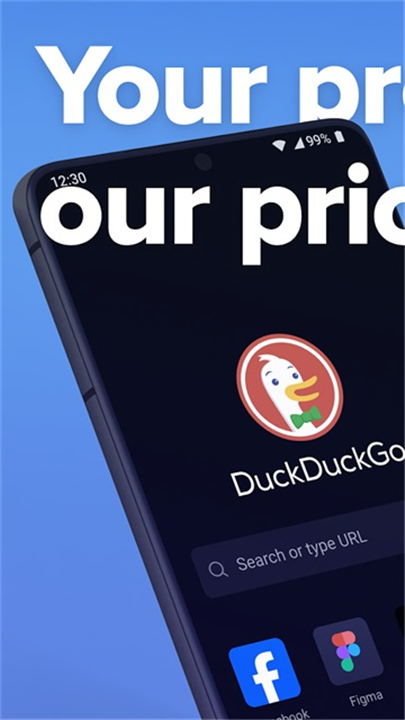 DuckDuckGo浏览器安卓版截图