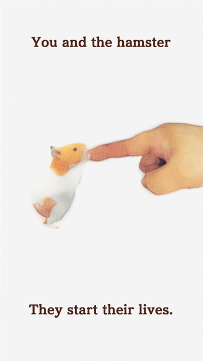 我的仓鼠截图