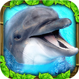 海豚模拟器