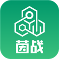 茵战官方版