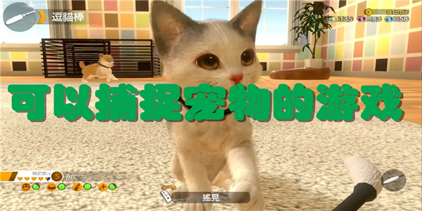 可以捕捉宠物的游戏