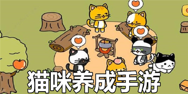 猫咪