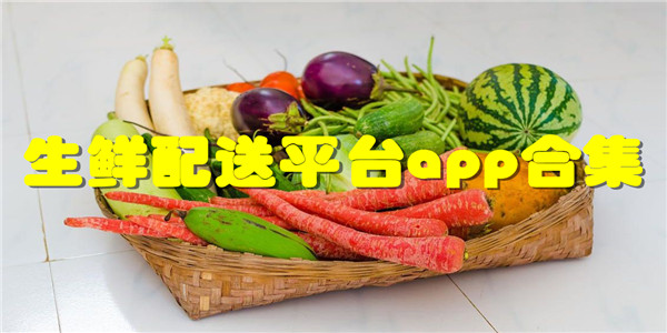 生鲜配送平台app