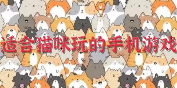 适合猫咪