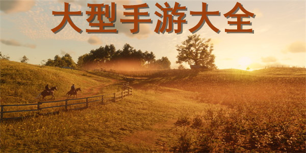 大型